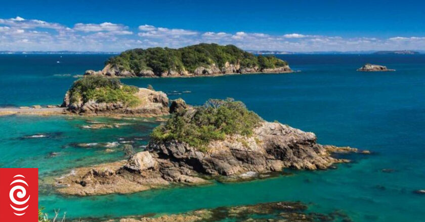Hauraki Gulf’s economic value at threat from invasive seaweed