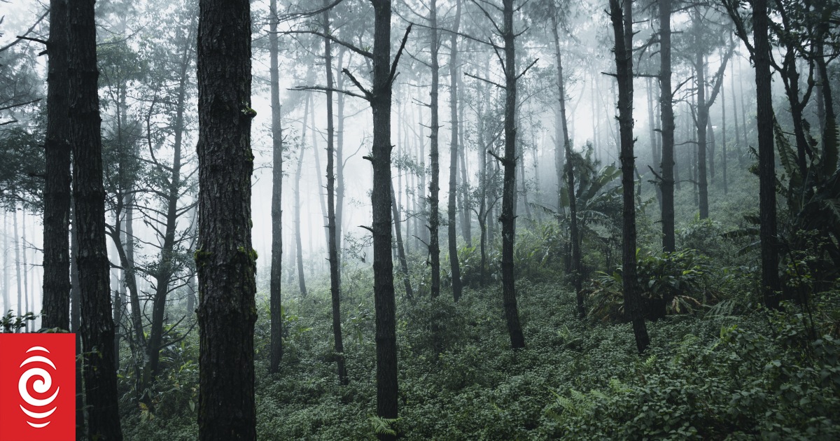 4O1QBJT 107570769 l normal none jpg