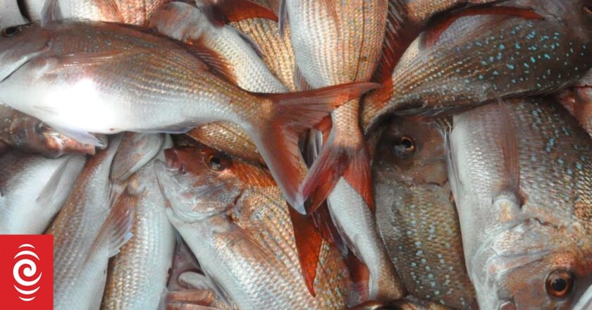 Jail term, $360K fine over sale of illegally caught fish