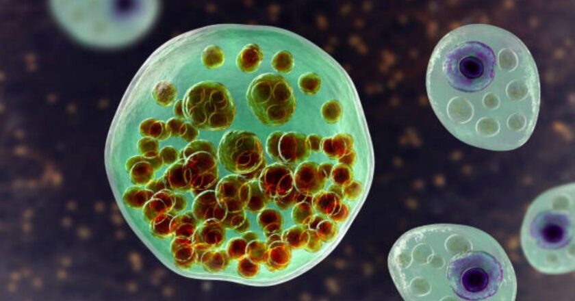 Drug trial shows hope for less invasive treatment of rare foetal blood disease