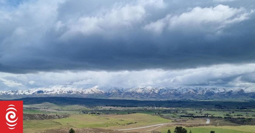 Otago residents weigh in on what they want to see for region’s growth