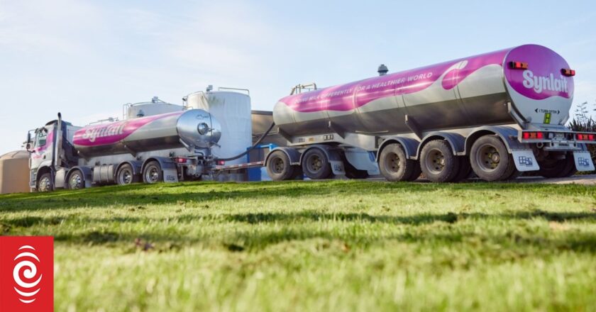 Synlait Milk slumps to large loss after asset write down