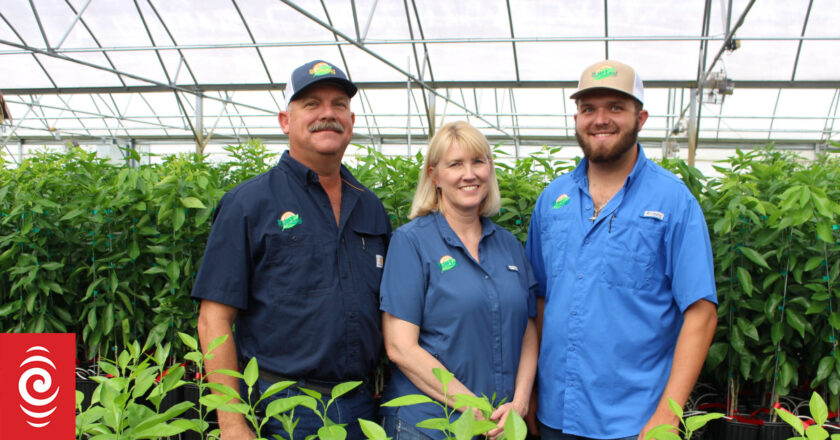 US citrus growers warn NZ about disease infestation