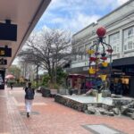 ‘Breaks my heart’: Cuba Street retailers react to Wellington’s CBD struggles