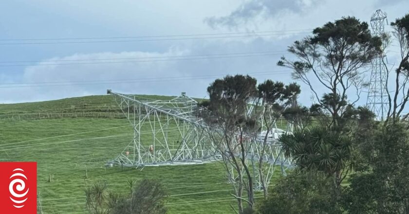 ‘Gross incompetence’: Report into power pylon debacle fails to address compensation