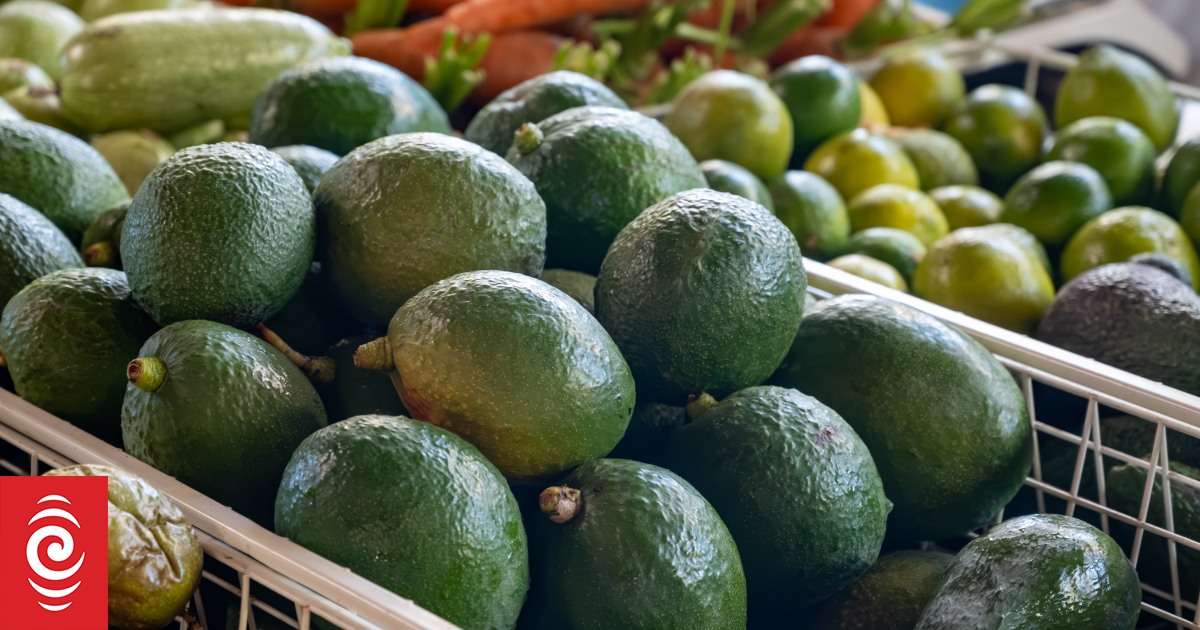 4KWS3OD avocado jpg