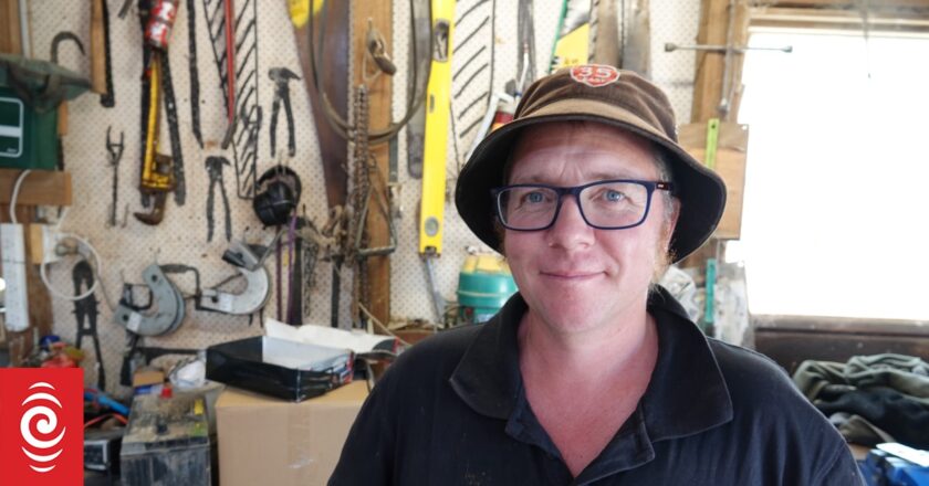 Sheep farm profitability for next season ‘sobering’; beef a ‘green shoot’ – BLNZ