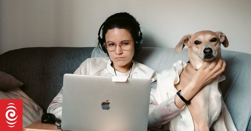 The pros and cons of working from home