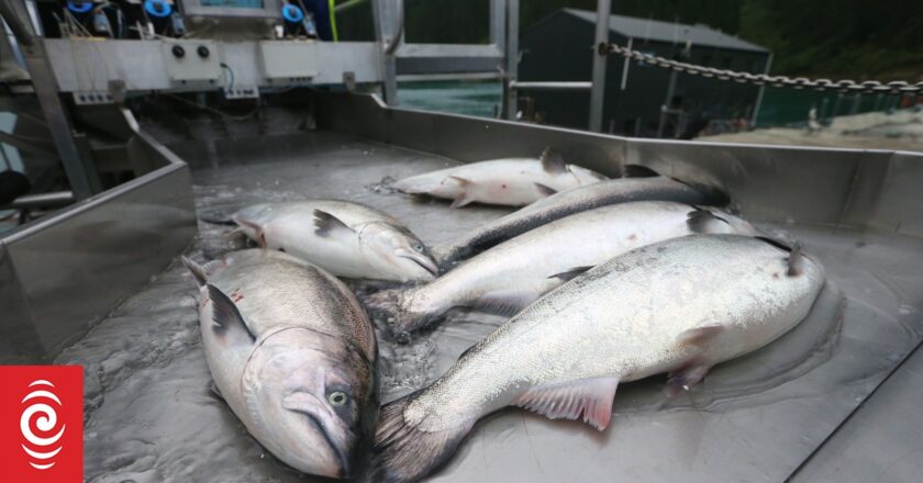 New Zealand King Salmon half-year profit down