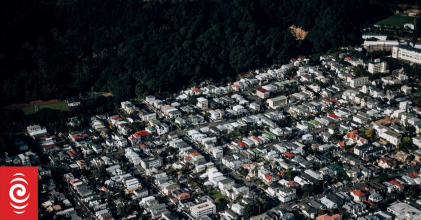 Wellington real estate agent’s $200,000 loss