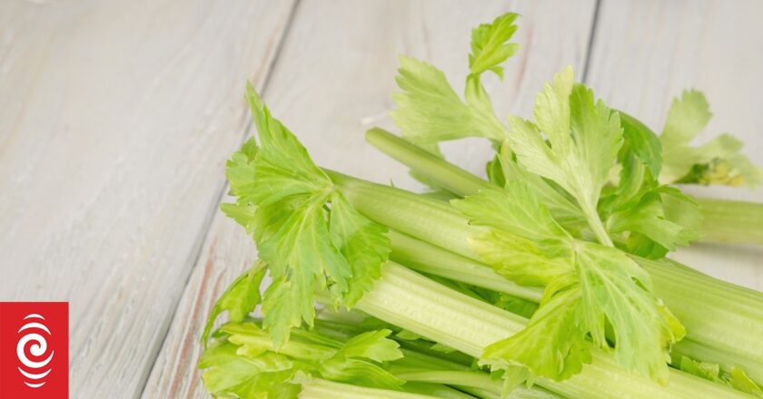 Uncertain future stalks celery growers