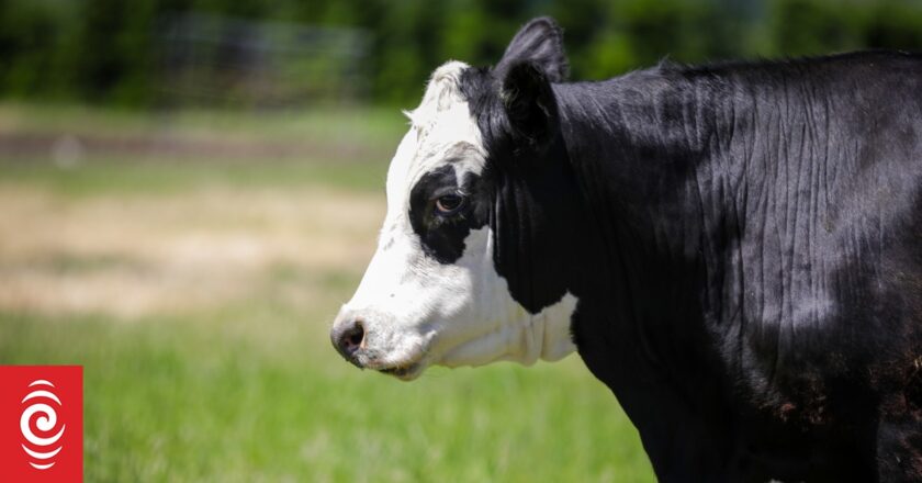 Demand for blood and gland meat products on the up