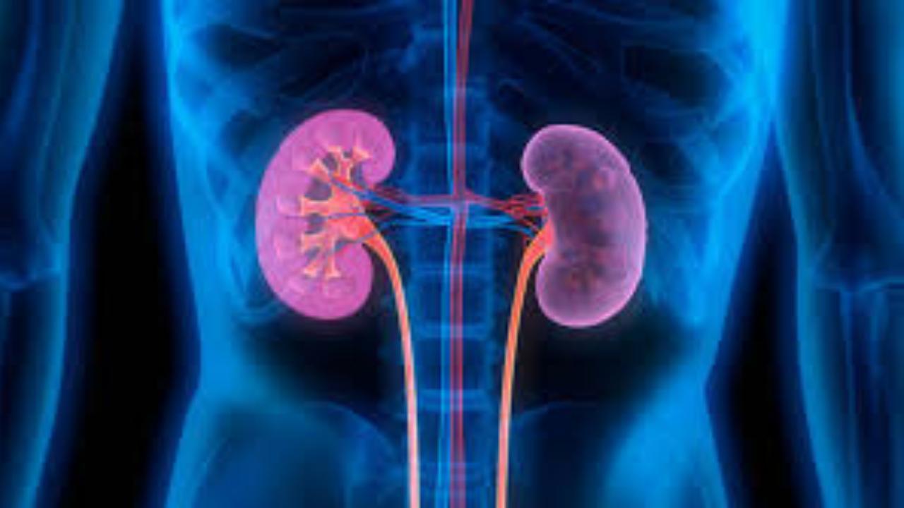 Weight loss surgery can reduce kidney failure risk in diabetics