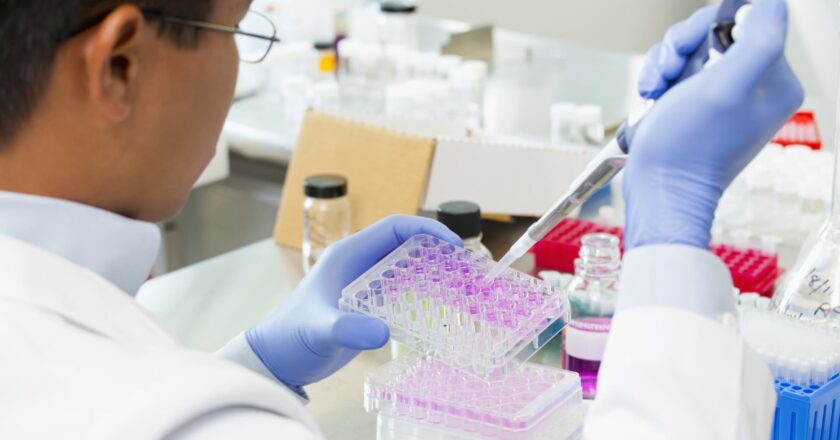 9 stocks have risen 100% this year and could double again