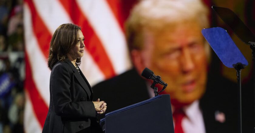 French trader bet $28 million on Trump win with 4 Polymarket accounts