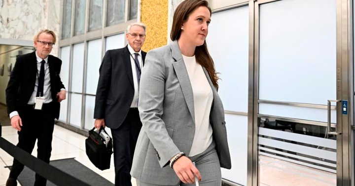 Ex-chief of staff to public safety minister denies stalling spy warrant approval – National