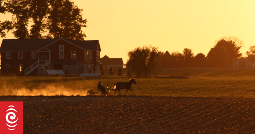 Loud US election barges into quiet Amish country
