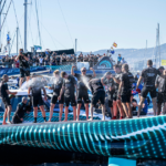 Focus on America’s Cup future as New Zealand rule the waves