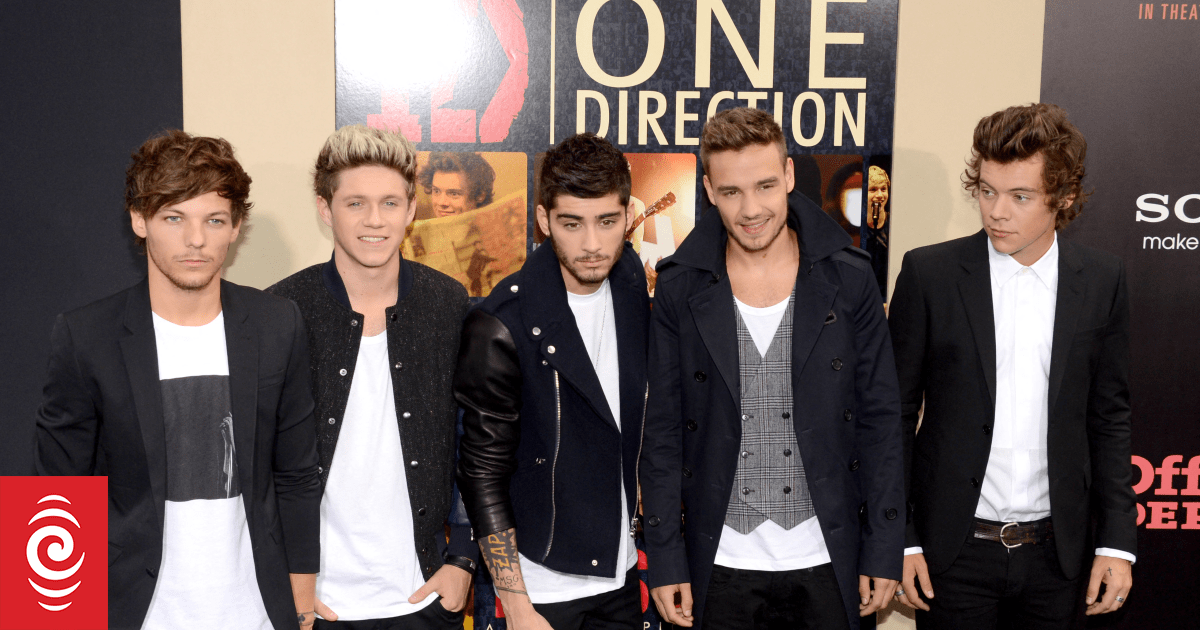 4KI4G9P AFP 20130827 178000432 v5 HighRes OneDirectionThisIsUsNewYorkPremiereRedCarpet jpg