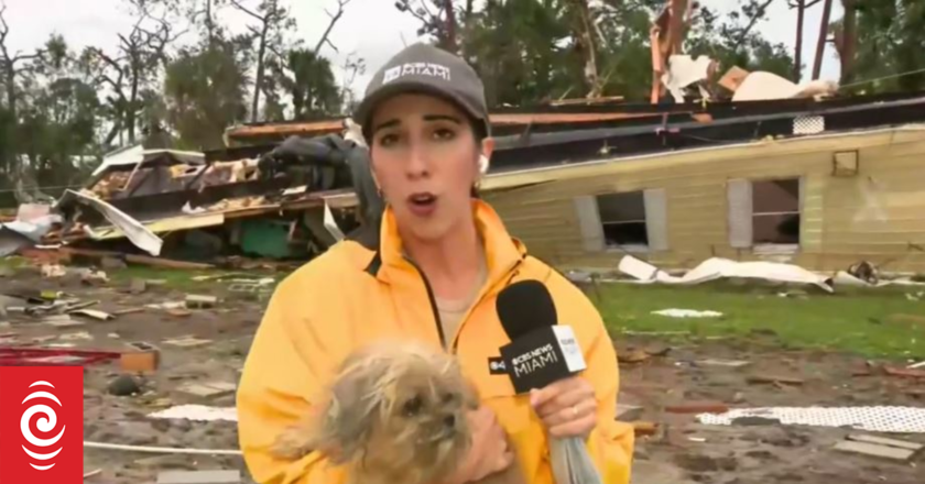 Dog rescued from rubble retirement community hit by Hurricane Milton tornado