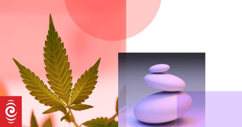 The boring business of New Zealand’s biggest cannabis clinic