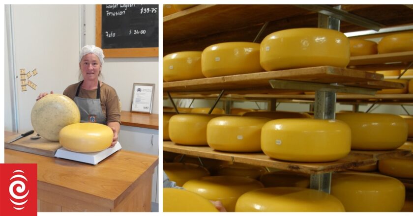 Tough times for boutique companies, champion cheesemaker says