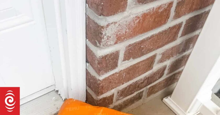 NZ officials silent on questions over Temu and cybersecurity