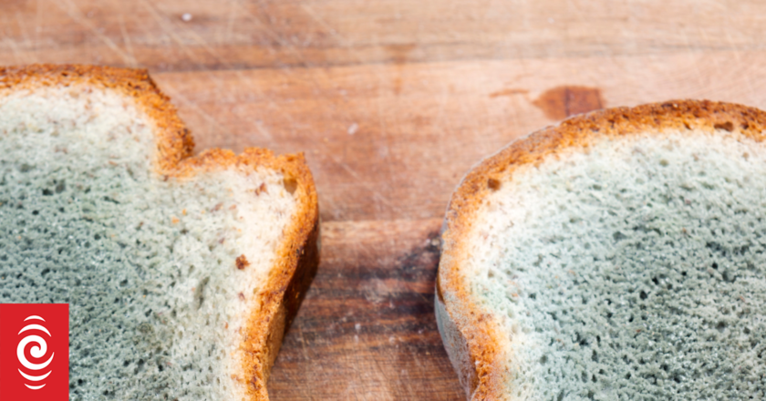 Is it ever OK to cut the mould off food and eat the rest?