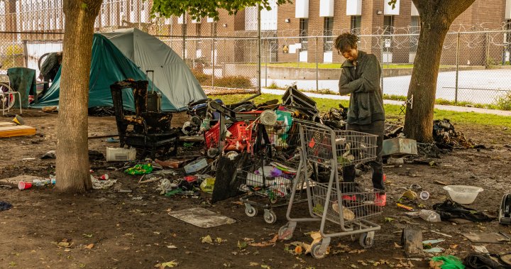 Ottawa set to bypass Ford government with money to end encampments