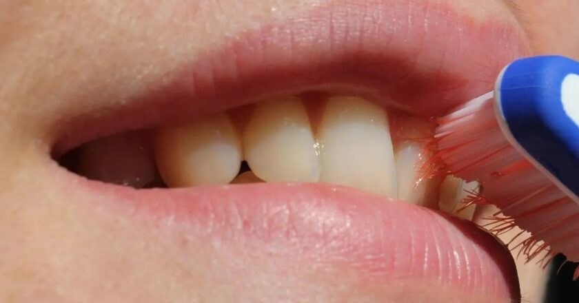 Study finds over 600 different viruses from shower heads, toothbrushes