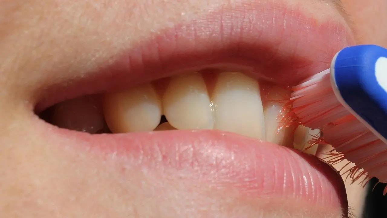 Study finds over 600 different viruses from shower heads toothbrushes