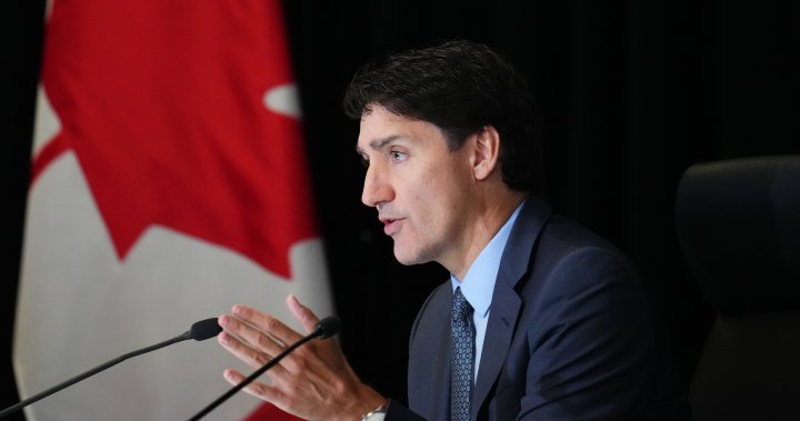 As Trudeau faces caucus ire, cabinet ministers double down on support – National