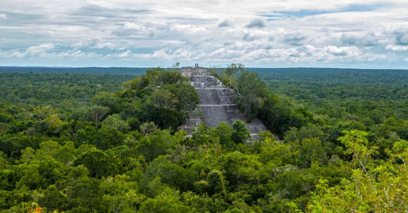 Laser technology uncovers ancient Mayan city hidden in Mexico jungle | World News