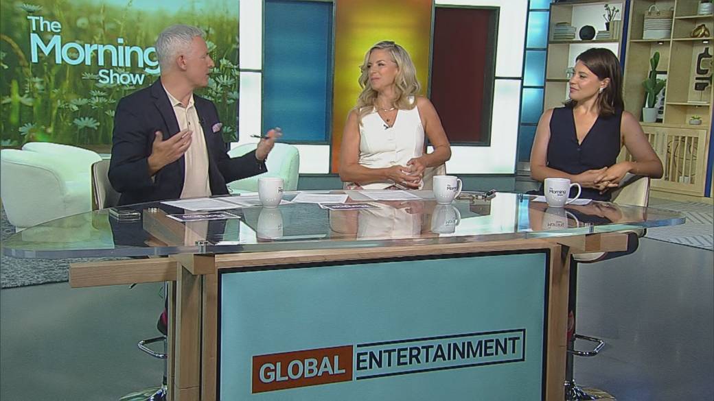 Click to play video: 'Celine Dion slams Trump campaign for using her song'