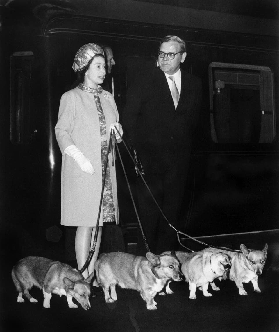 1732191928 239 The Royal Family approved dog breeds ‘Princess Margaret had Sealyhams delivered