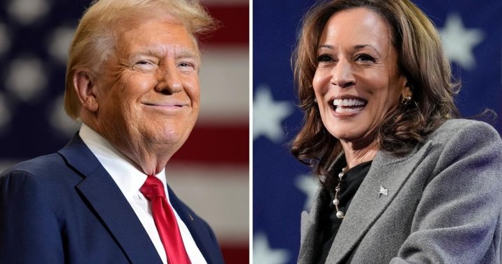 2024110117110 20241030171056 c343bb6246aa0c775776f81afa312b17f993a43bb2c95d529f26a73f494c09c6