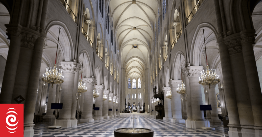 Notre Dame rises from the ashes