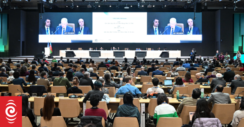 COP29 deal disappoints Kiwi climate activists