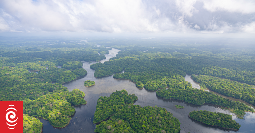 Tropical wetlands are releasing a methane bomb, threatening climate plans