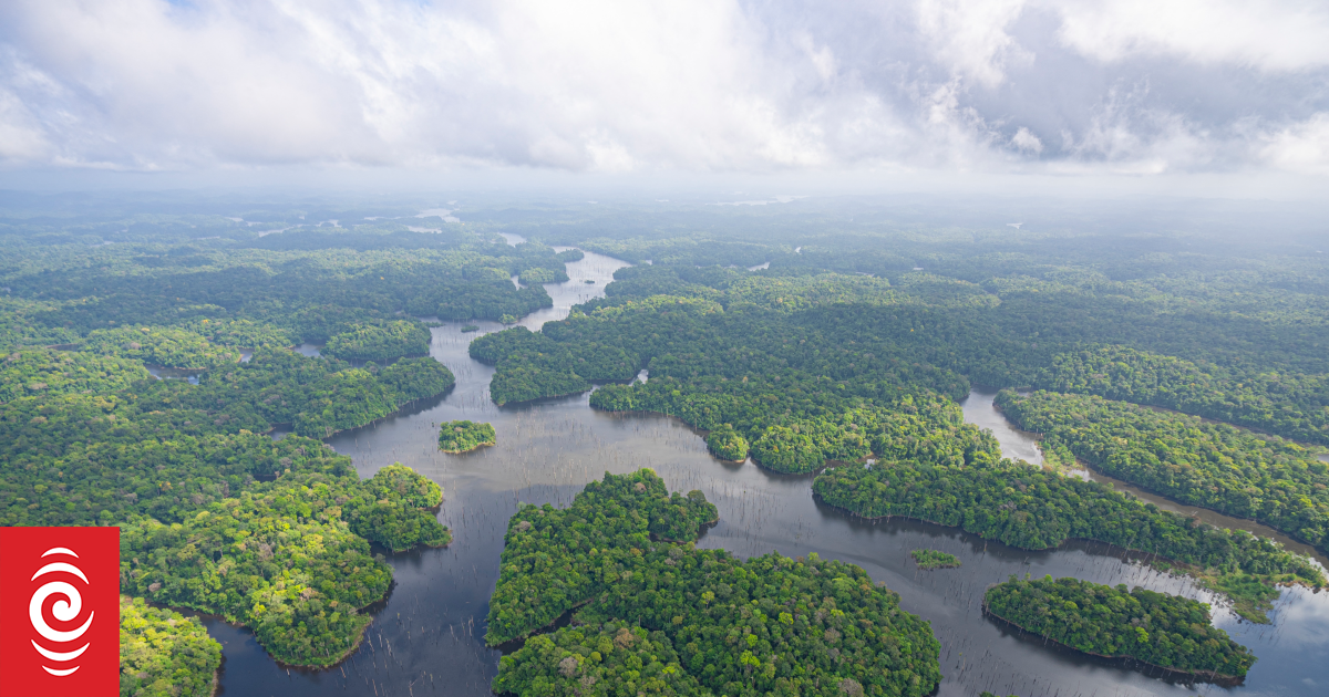 4KGK8DX AFP 20241114 2589067 v1 HighRes LacDePetitSautSinnamaryFrenchGuiana jpg