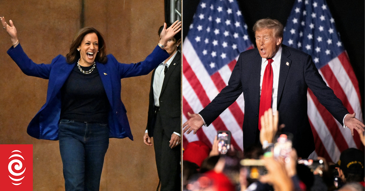 4KH897A AFP 20241104 36LH47J v1 HighRes ComboUsVotePoliticsHarrisTrump jpg