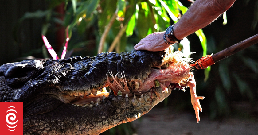 World’s largest captive crocodile Cassius dies in Australia