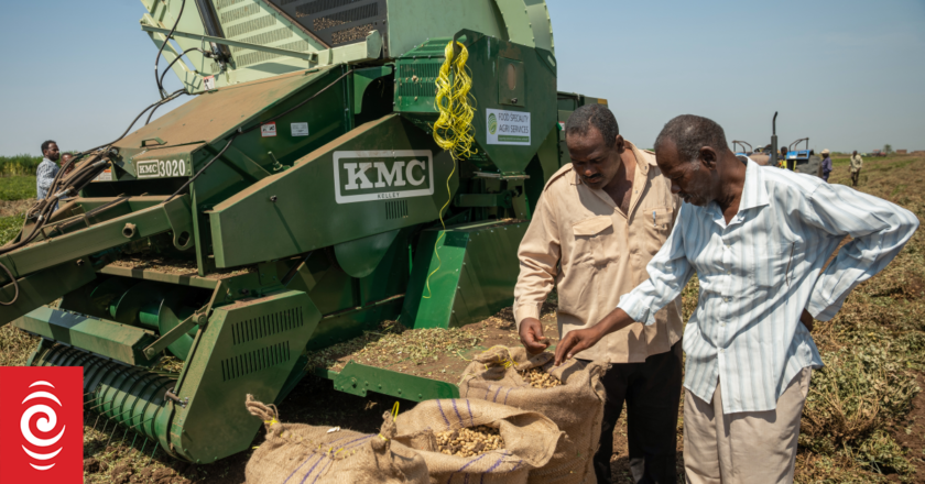 War decimates harvest in famine-threatened Sudan