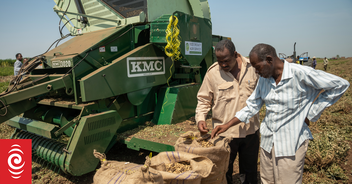 4KHC3WE AFP 20241020 36KD4AB v4 HighRes SudanConflictAgricultureEconomy jpg