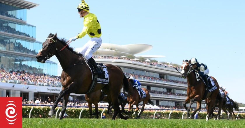 Melbourne Cup: What you need to know
