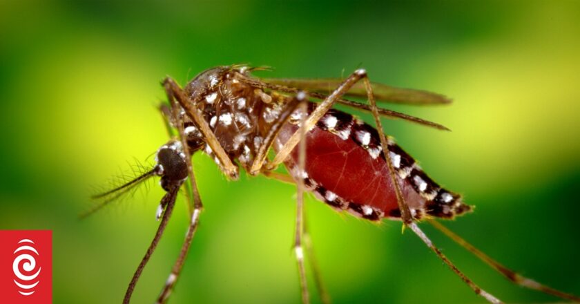 Climate change, chemicals on your skin put you at greater risk of mosquitos