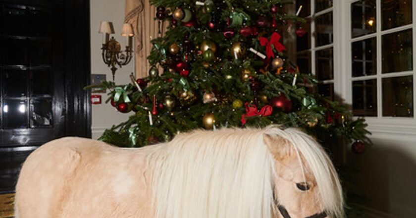 London hotel Christmas trees 2023