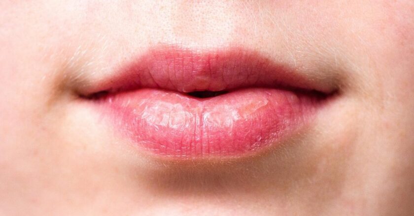Scientists develop world-first 3D cell model to boost treatments for lip injury
