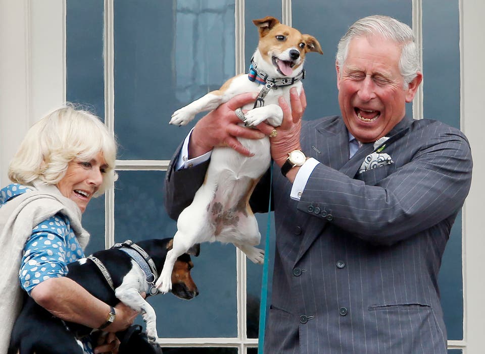 The Royal Family approved dog breeds ‘Princess Margaret had Sealyhams delivered