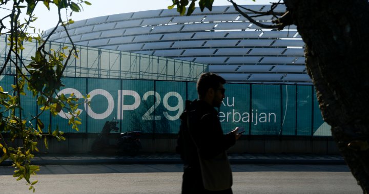 cop29 baku